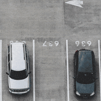 Predictive Parking Pricing Model